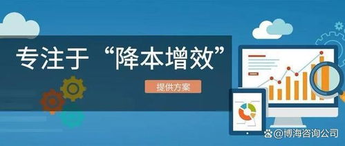 2024年專注采購降本的降本增效咨詢機(jī)構(gòu)最新排名（信息技術(shù)咨詢服務(wù)領(lǐng)域）